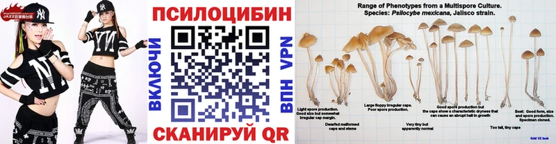 где можно купить   Спас-Клепики  МЕГА как зайти  Галлюциногенные грибы MAGIC MUSHROOMS 